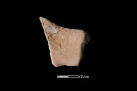 陶片藏品圖，第2張